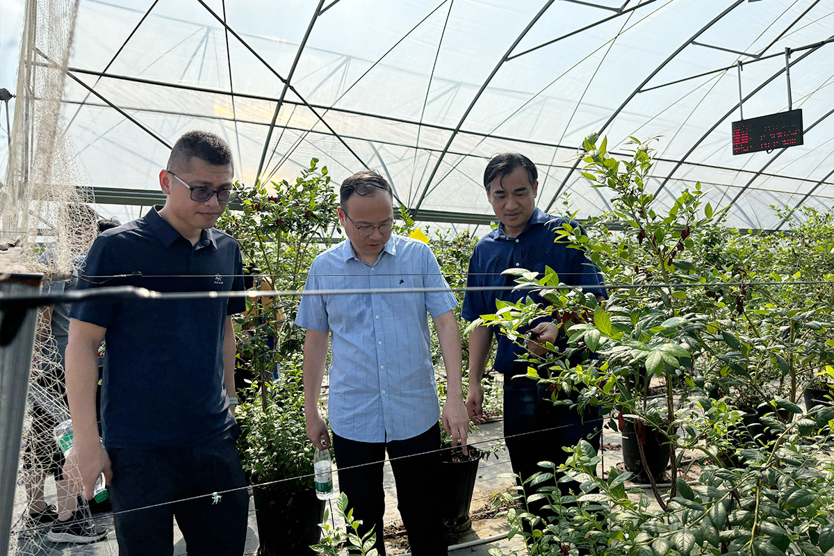 培训学员在杭州瓶窑彭公数字农场参观学习